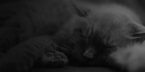 ES10036_PORTFOLIO-V2